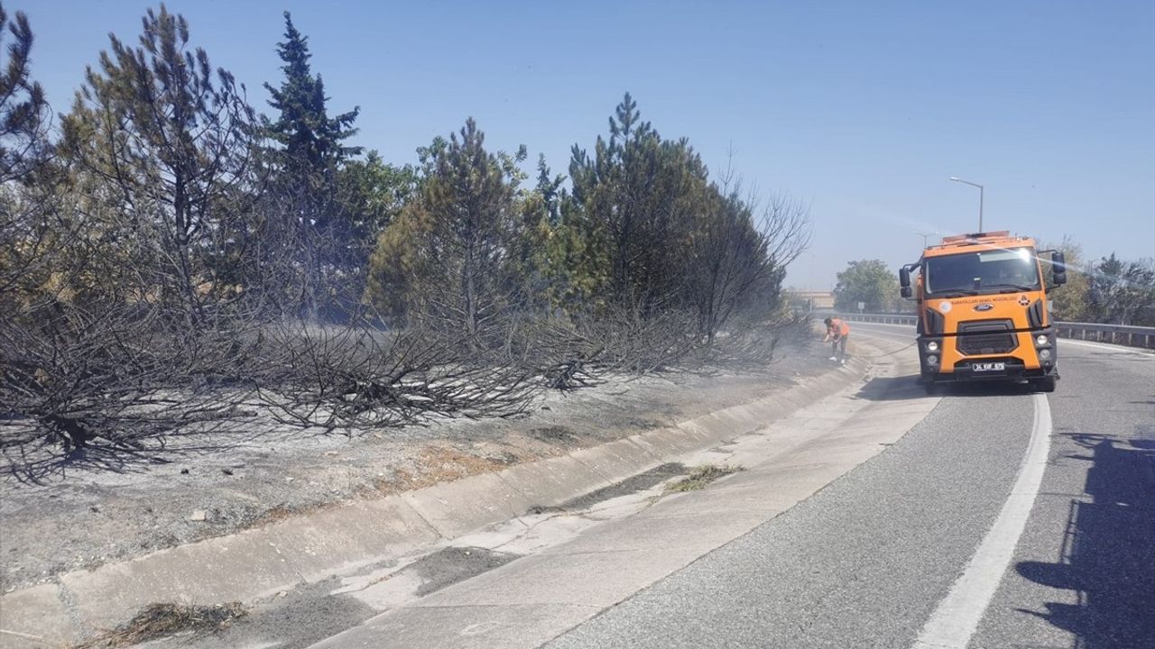 Kırklareli'nde Yangınla Mücadele Devam Ediyor