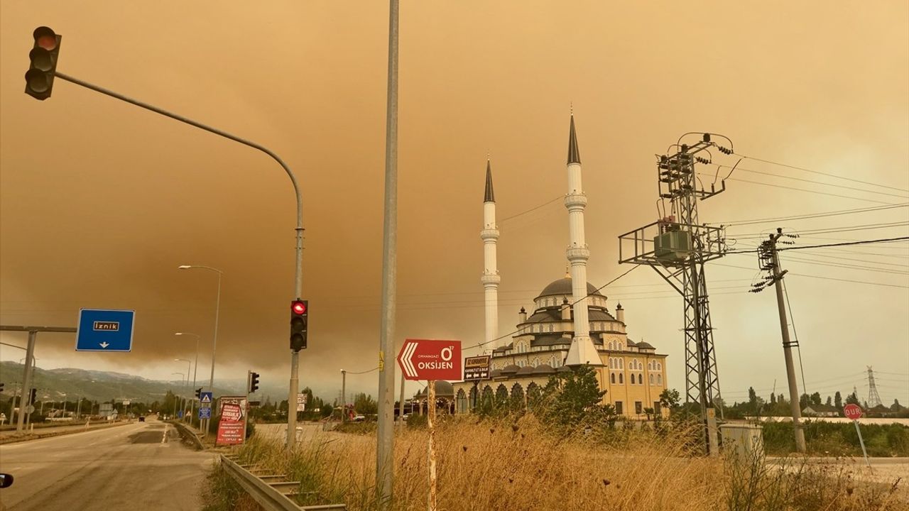Kocaeli'deki Orman Yangını Dumanı Bursa'yı Etkiledi