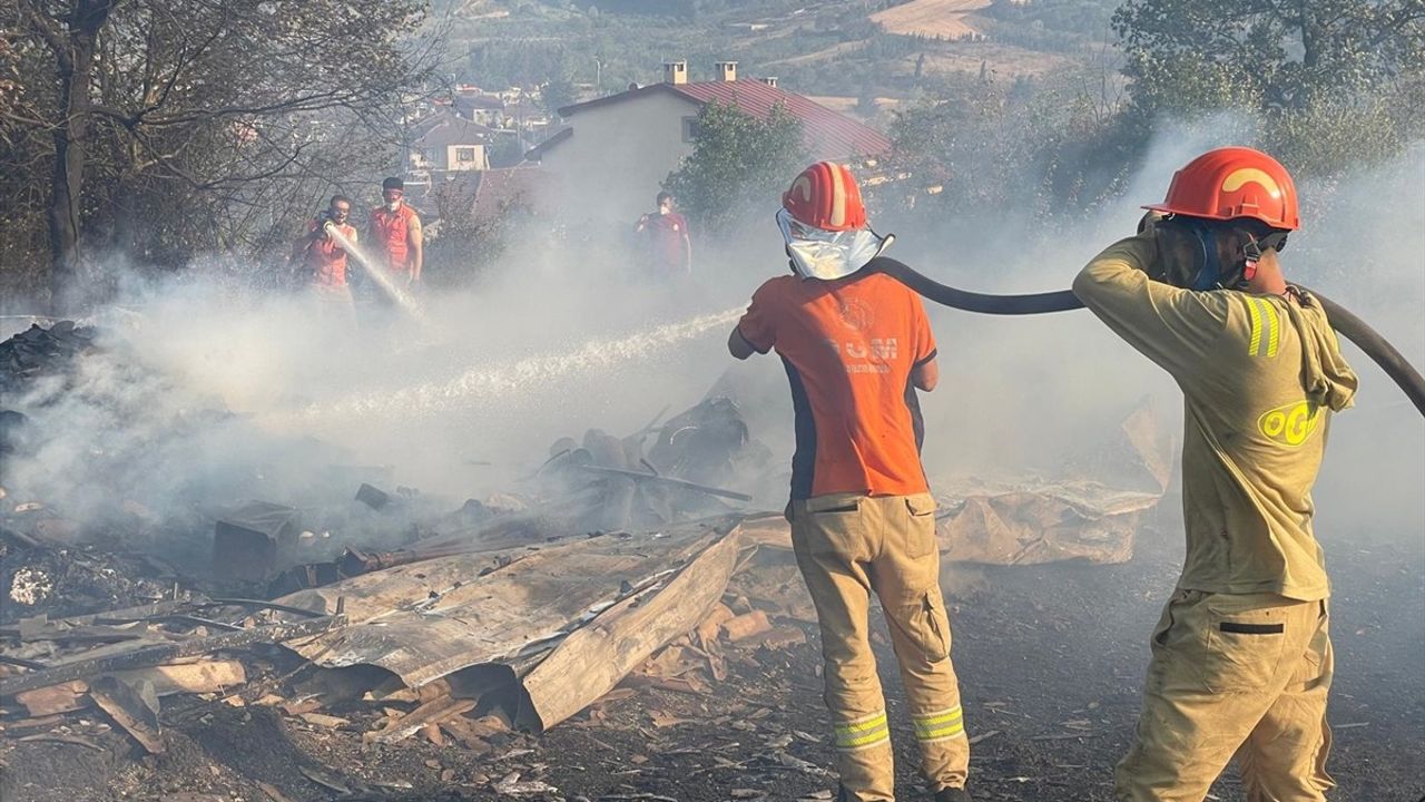 Kocaeli'nde Orman Yangınına Mücadele Başlatıldı