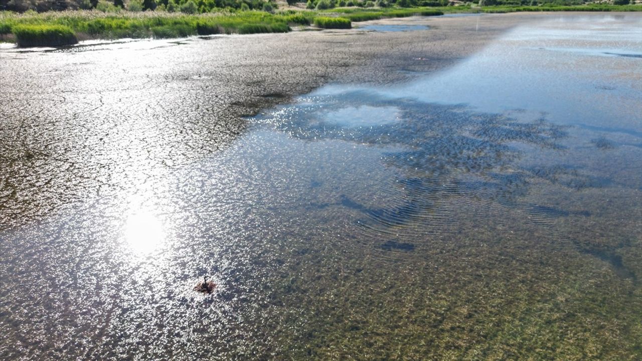 Mada Adası'ndaki Yörükler Kuraklıkla Mücadele Ediyor