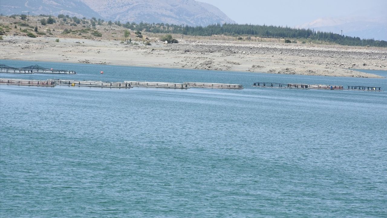 Malatya'da Alabalık Üretim Tesisi Sayısı Artıyor