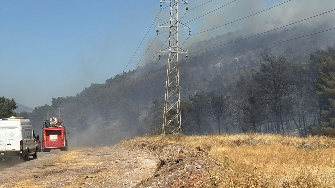 Manisa Soma'da Orman Yangını: Hızla Müdahale Ediliyor