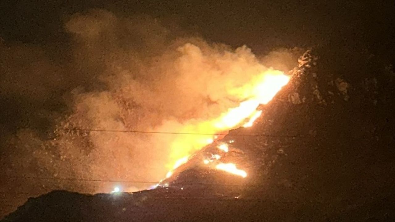 Marmara Adası'ndaki Orman Yangını Kontrol Altına Alındı