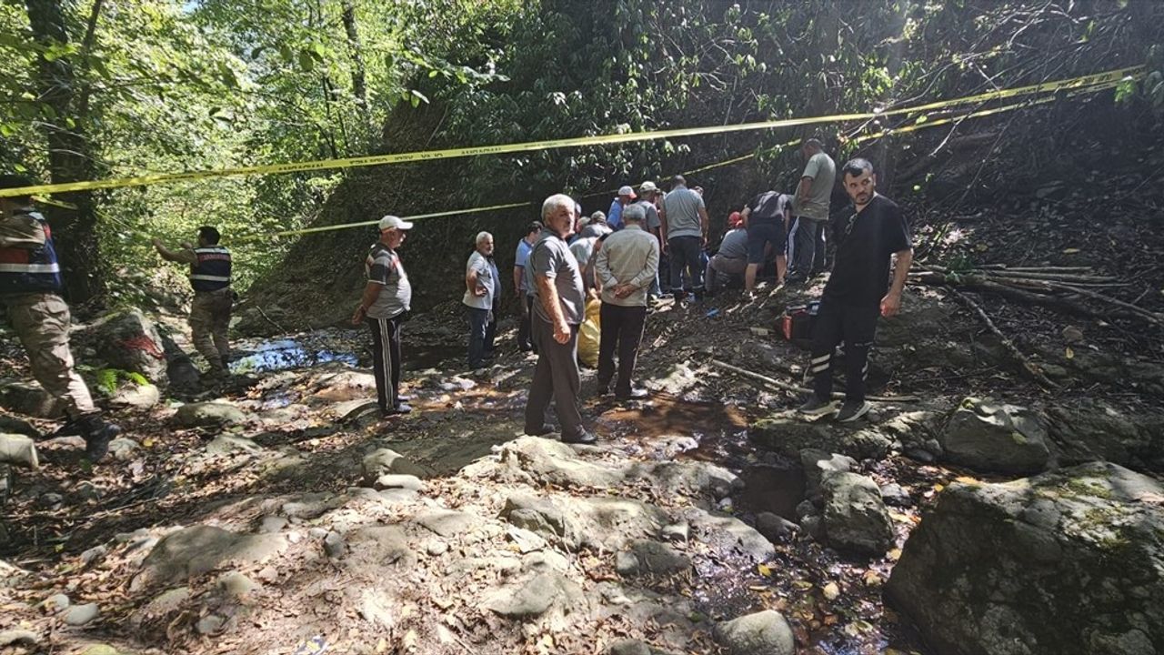 Ordu'da Fındık Toplarken Yamaçtan Düşen Kişi Hayatını Kaybetti