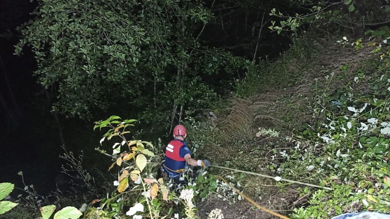 Ordu'da Tarım Aracının Uçuruma Yuvarlanması: Genç Sürücü Hayatını Kaybetti, Baba Yaralı