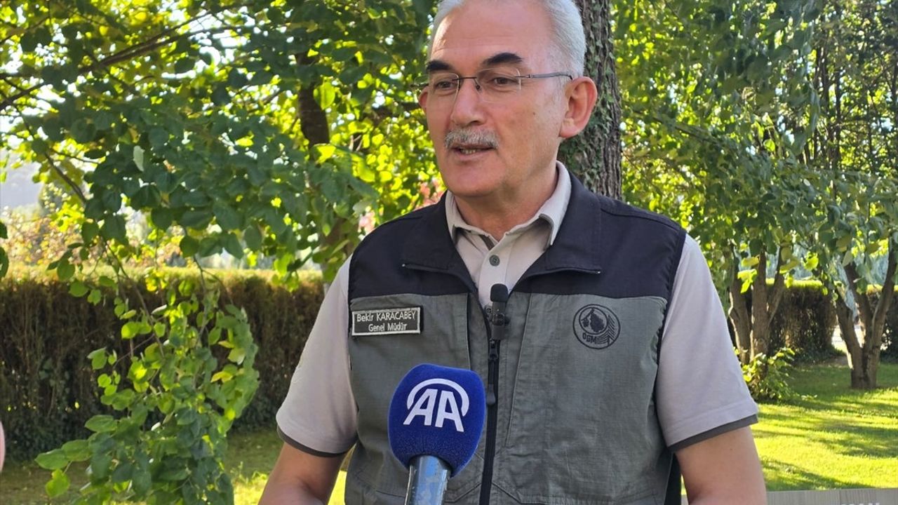 Orman Yangınlarına Karşı Farkındalık ve Mücadele Önemli