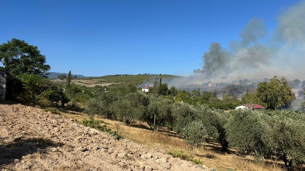 Osmaniye'de Zeytinliğe Sıçrayan Yangına Müdahale Devam Ediyor