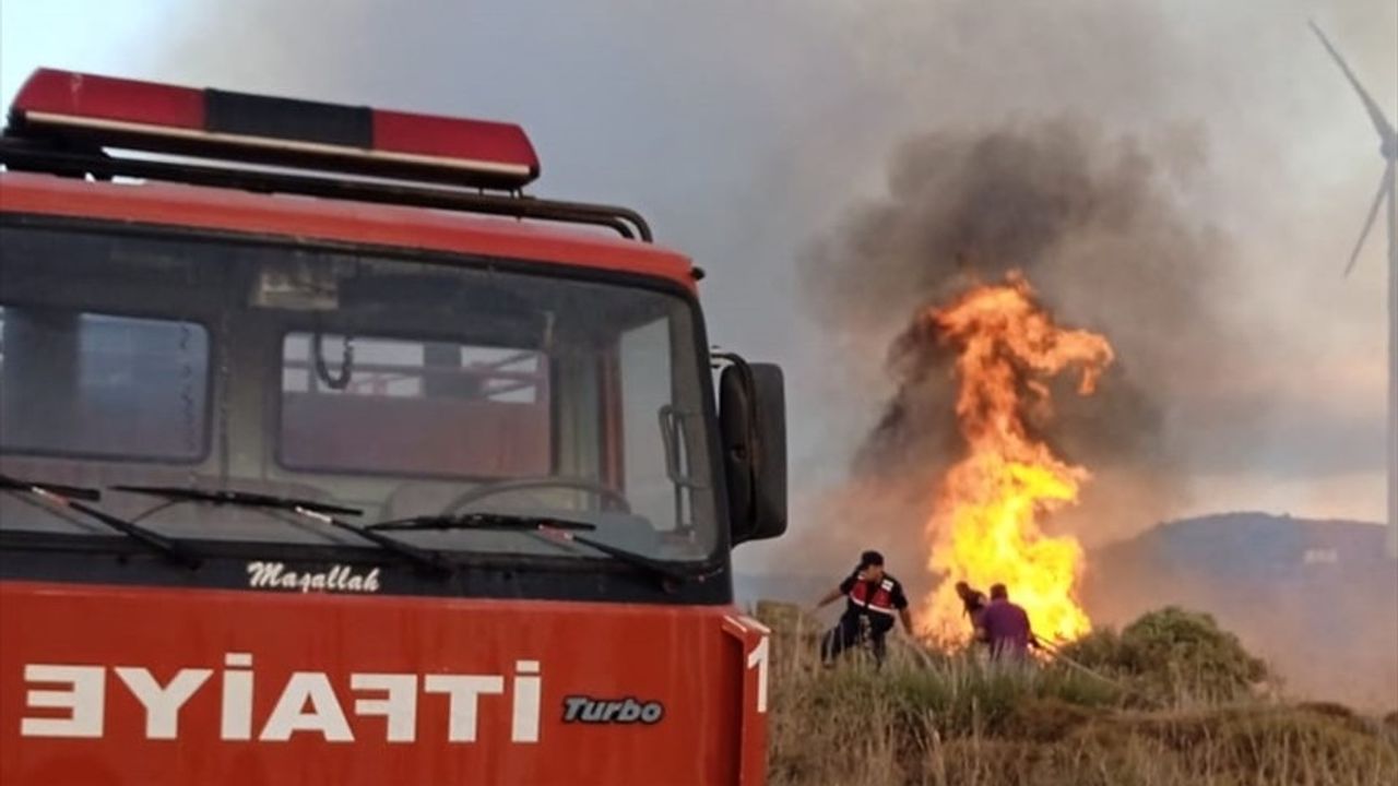 Paşalimanı Adası'ndaki Arazi Yangını Kontrol Altına Alındı
