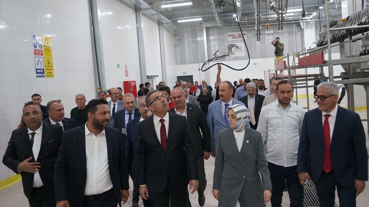 Polatlı'da Hayvancılık Destekleme Modeli Açıklandı