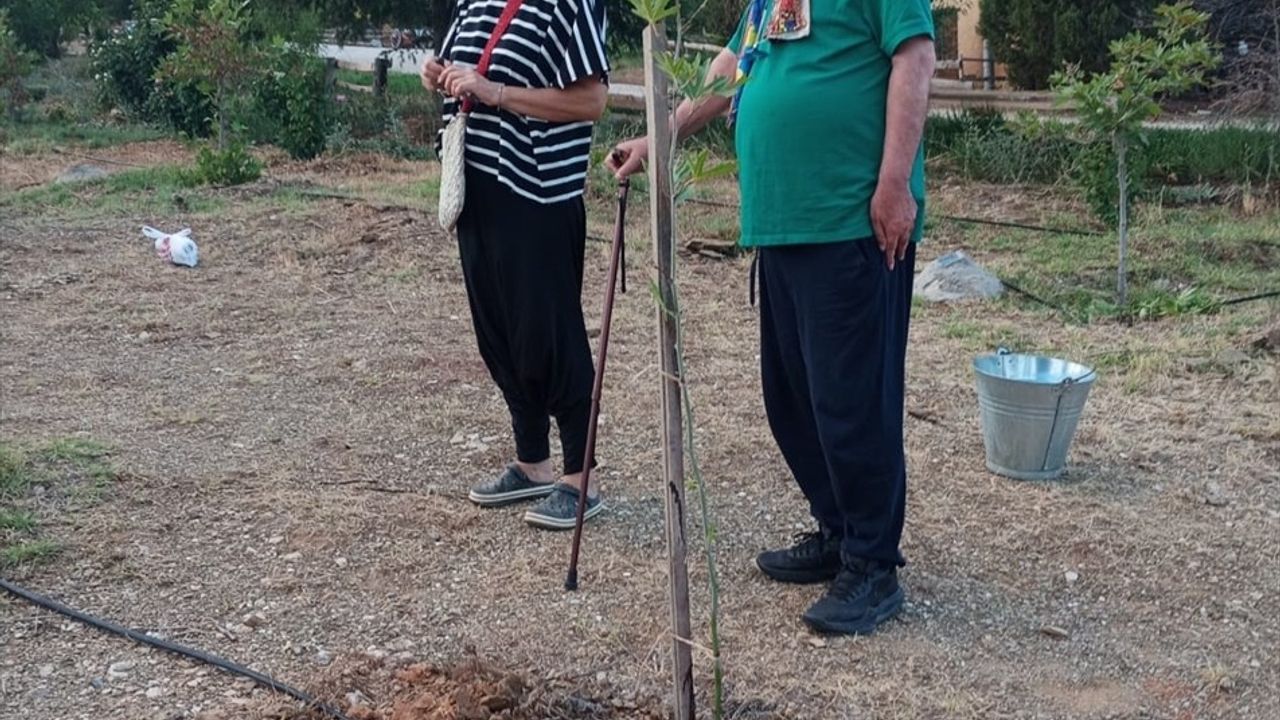 Prof. Dr. Metin Sözen Anısına Fidan Dikimi