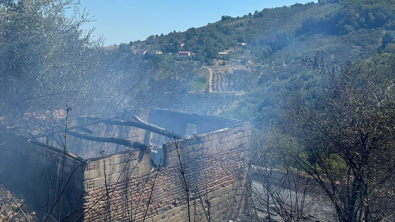 Samsun'daki Fındık Bahçesinde Yangın Kontrol Altına Alındı
