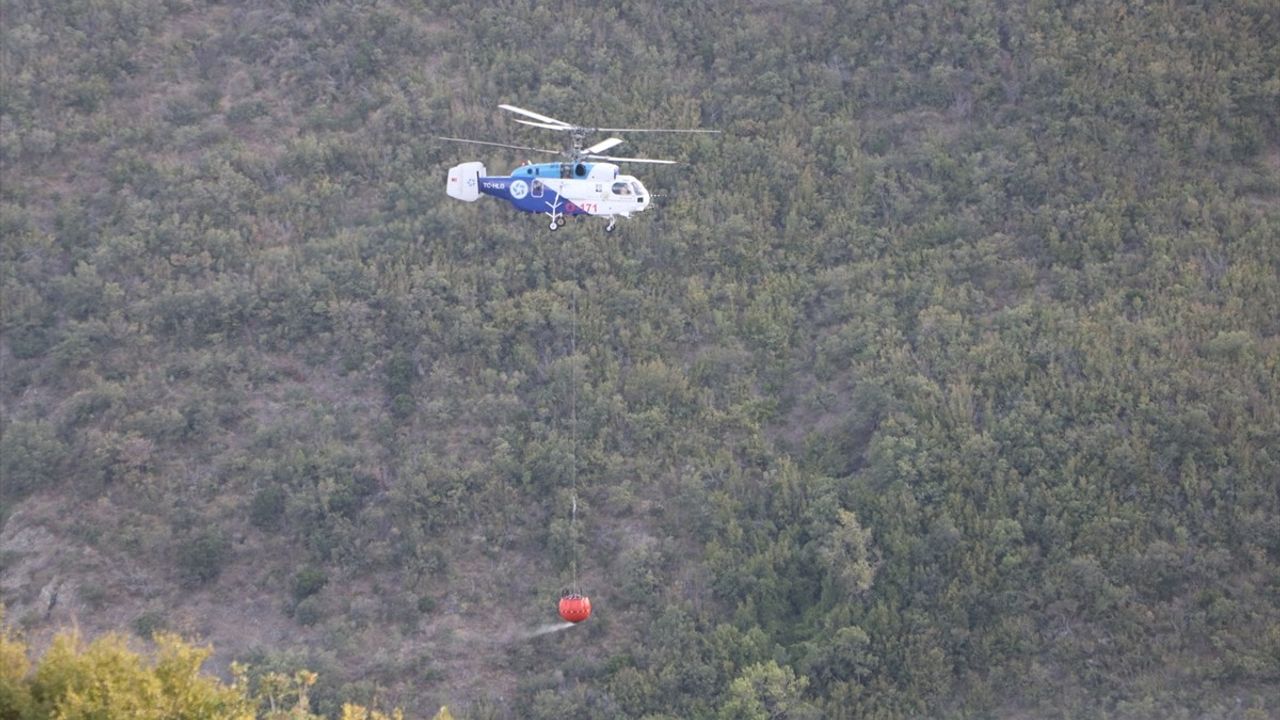 Şarköy'deki Orman Yangınına Müdahale Devam Ediyor
