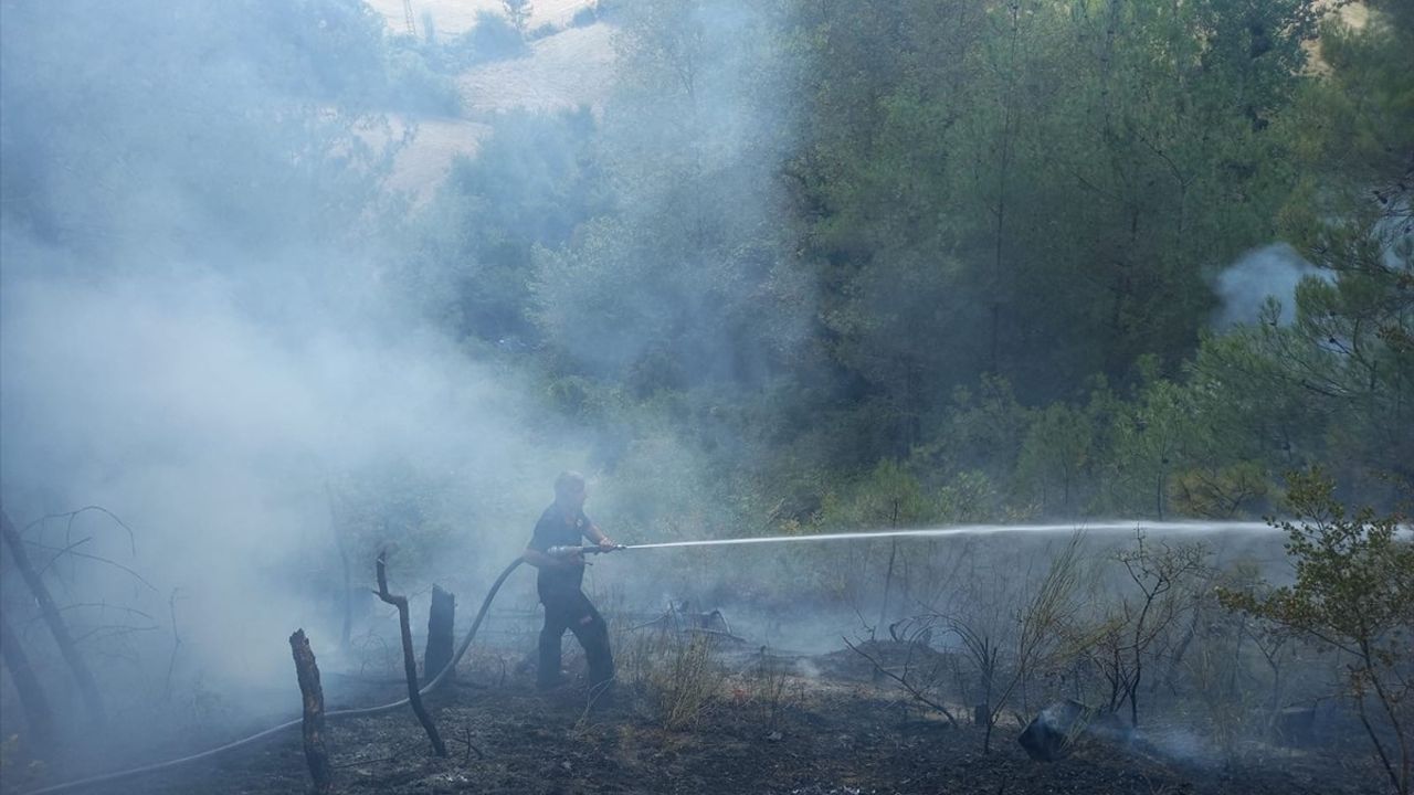 Sinop'ta Orman Yangınına Hızla Müdahale Ediliyor