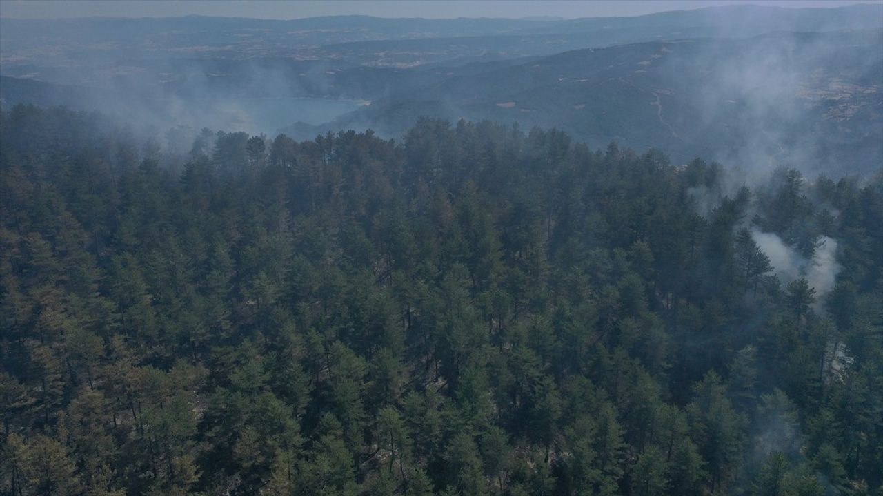 Sinop'ta Orman Yangınına Mücadele Devam Ediyor