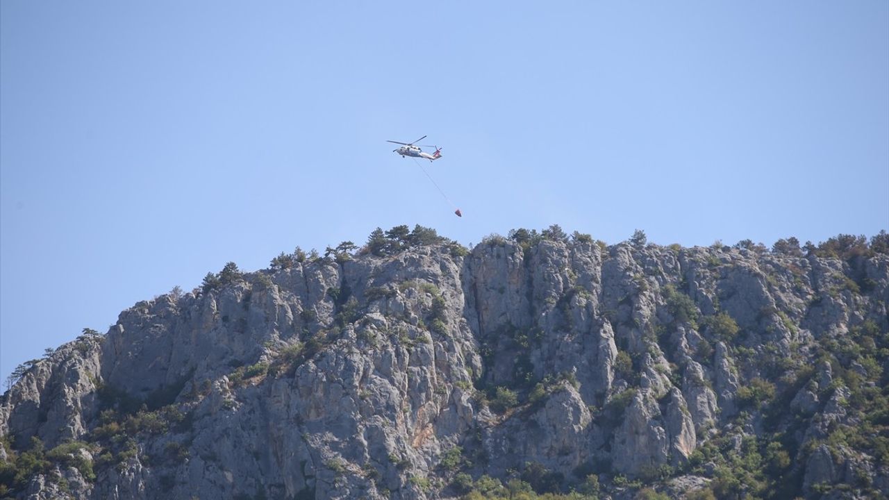 Sinop'taki Orman Yangını Kontrol Altına Alındı