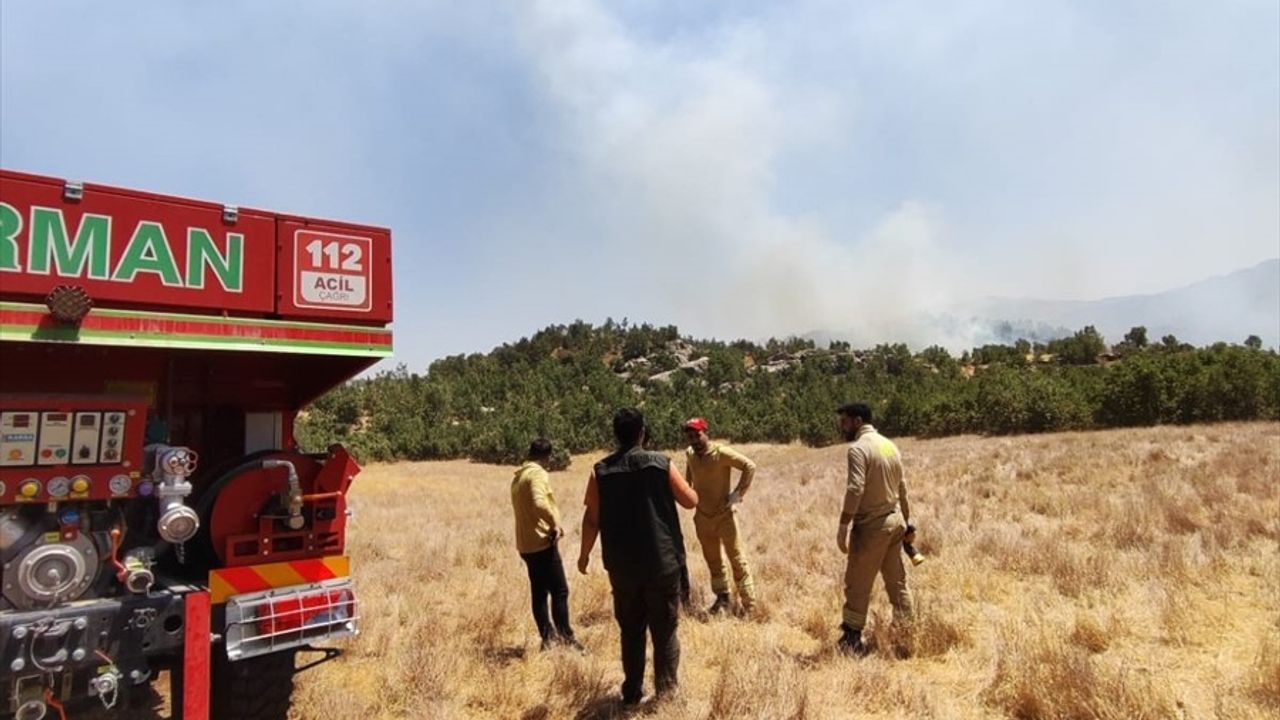 Şırnak'ta Orman Yangınına Hızla Müdahale Ediliyor