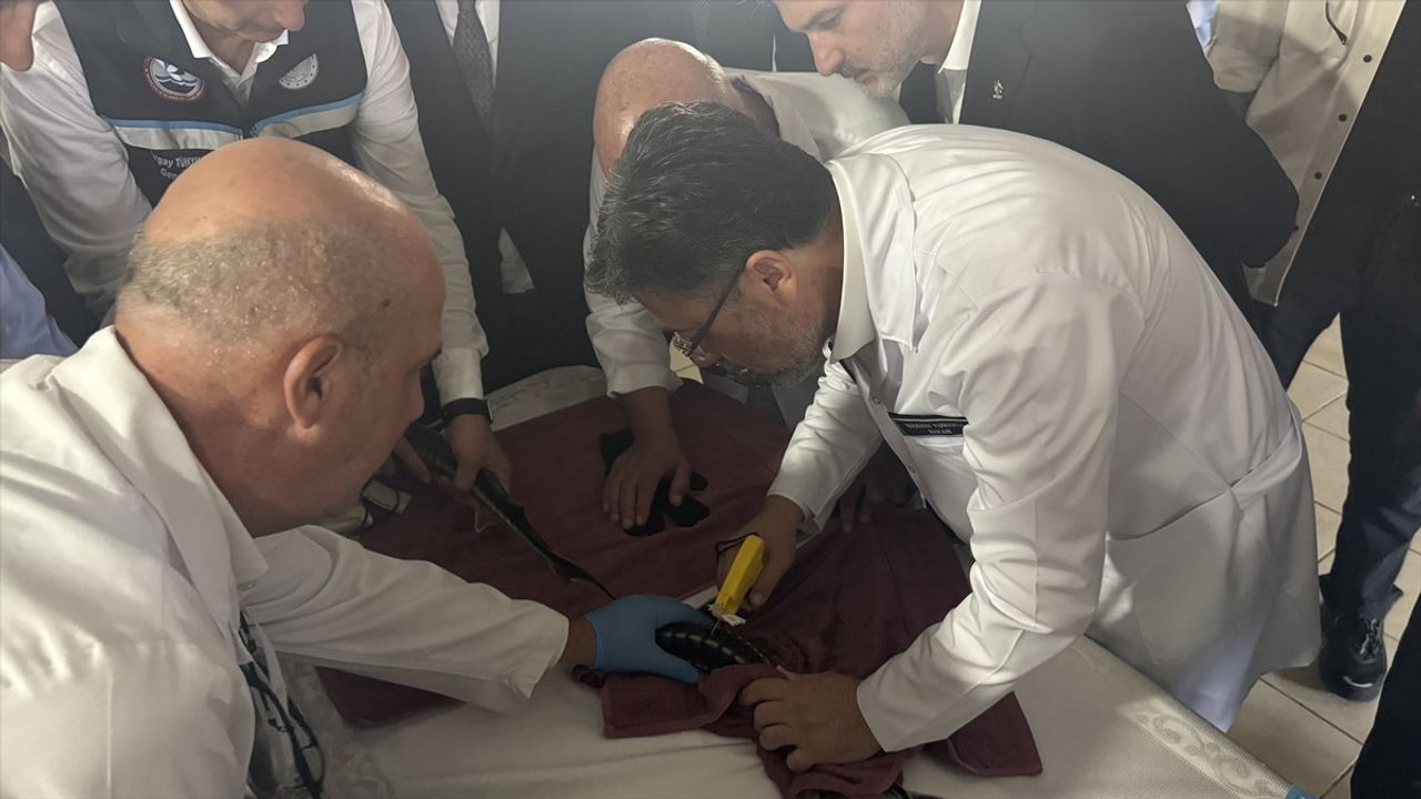 Tarım ve Orman Bakanı Yumaklı, Trabzon’da İncelemelerde Bulundu