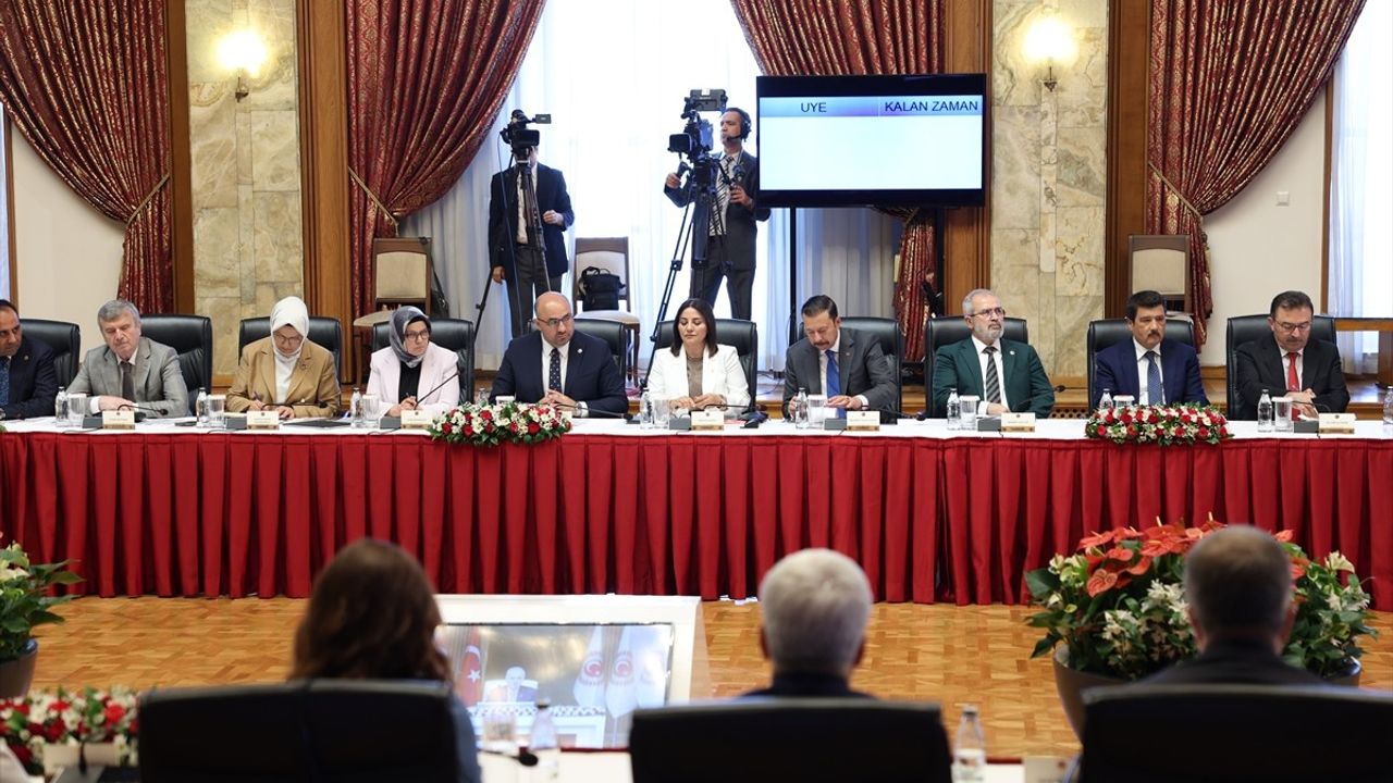 TBMM'de Milli Dayanışma ve Demokrasi Komisyonu Toplantısı