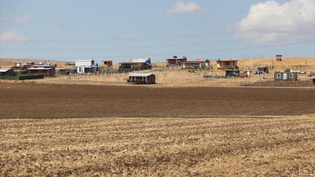 Tekirdağ'da Tarım Arazilerine Konteyner Tepkisi: Çiftçiler Harekete Geçti