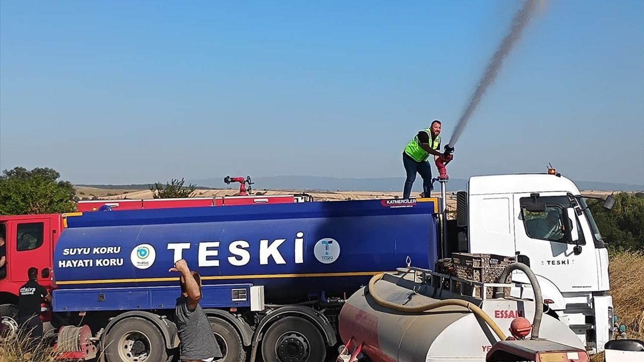 Tekirdağ'daki Yangında 50 Dönüm Makilik Alan Zarar Gördü