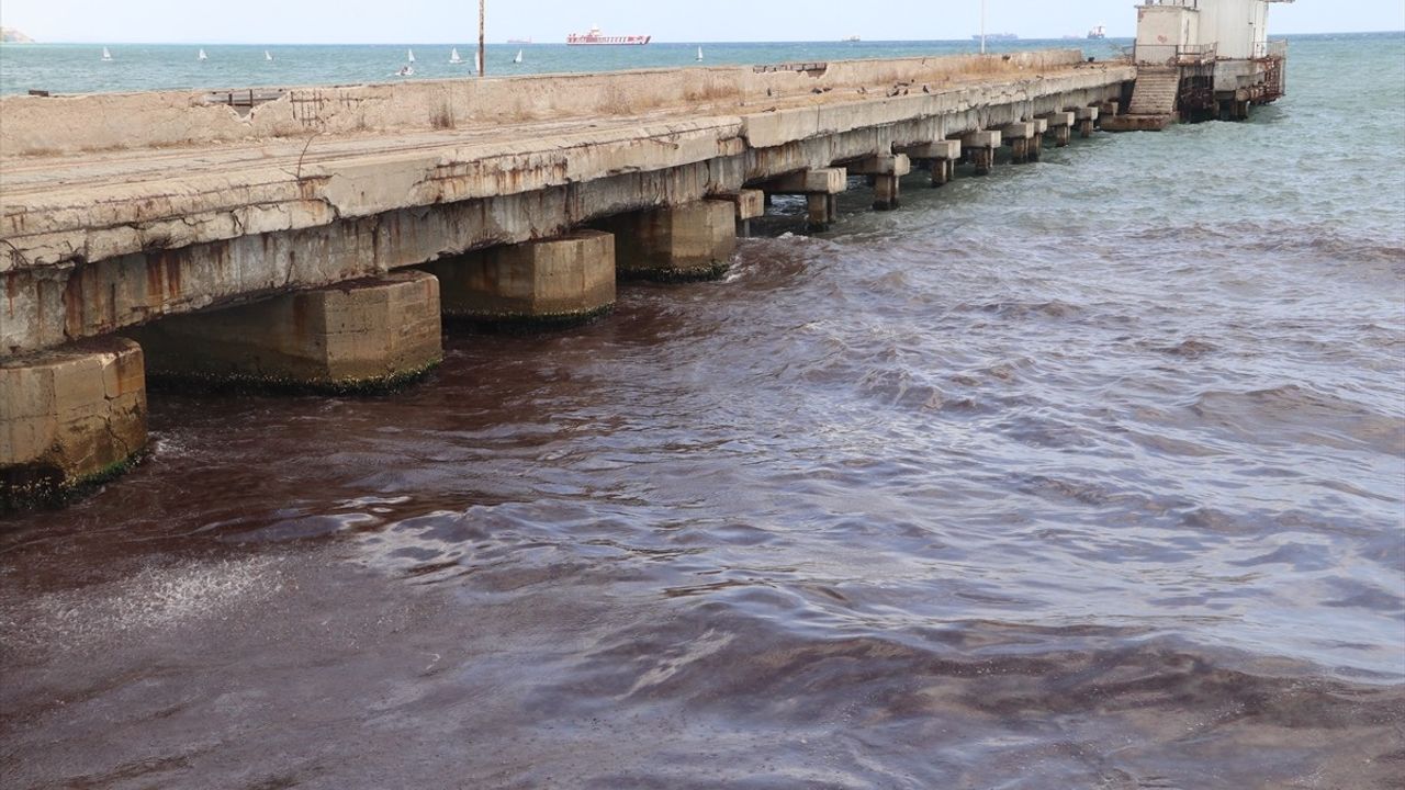Tekirdağ Sahilinde Kırmızı Yosunların Birikimi