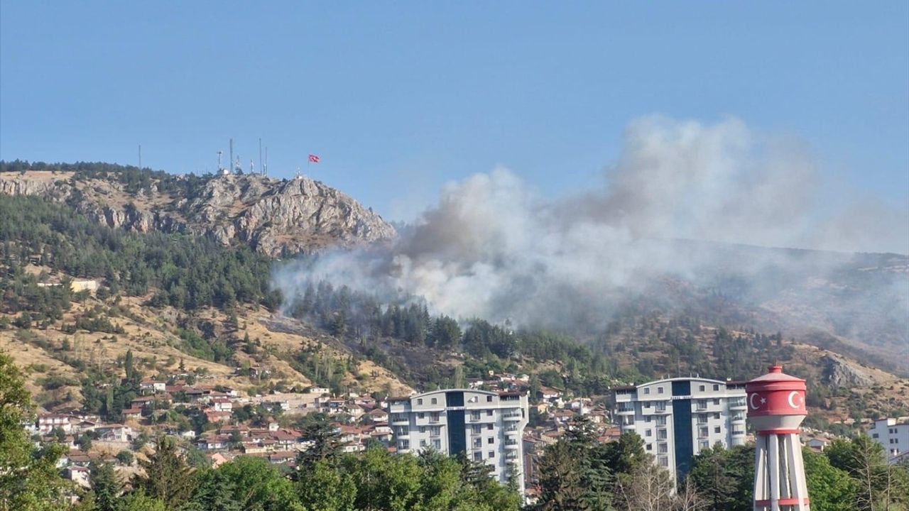 Tokat'ta Orman Yangını Galibiyeti İçin Mücadele Ediliyor