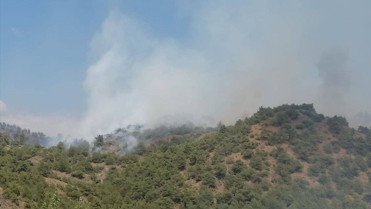 Tokat'ta Orman Yangınına Müdahale Başladı
