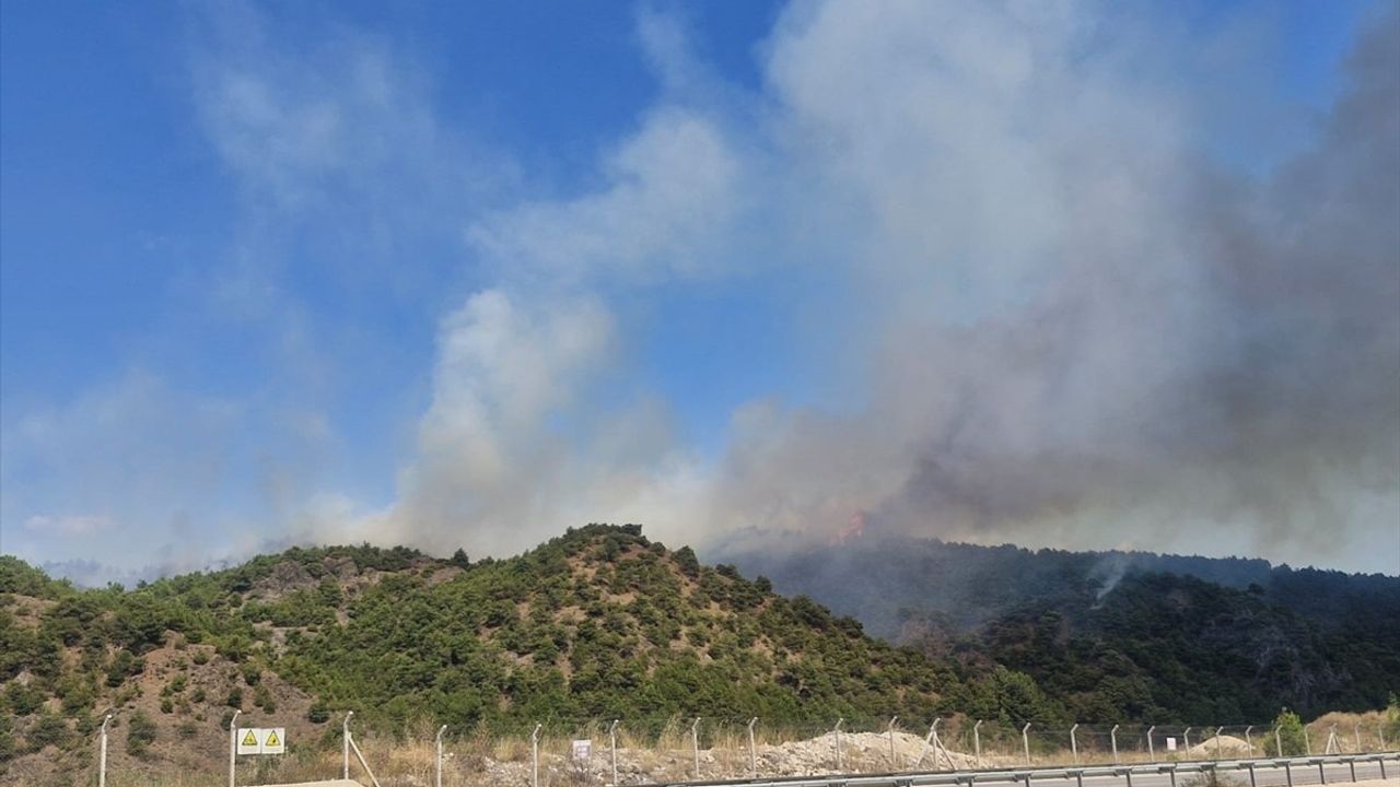 Tokat'taki Orman Yangını: Soruşturma ve Gözaltı Süreci