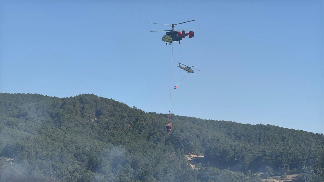Uşak'ta Çıkan Orman Yangını Kontrol Altına Alındı