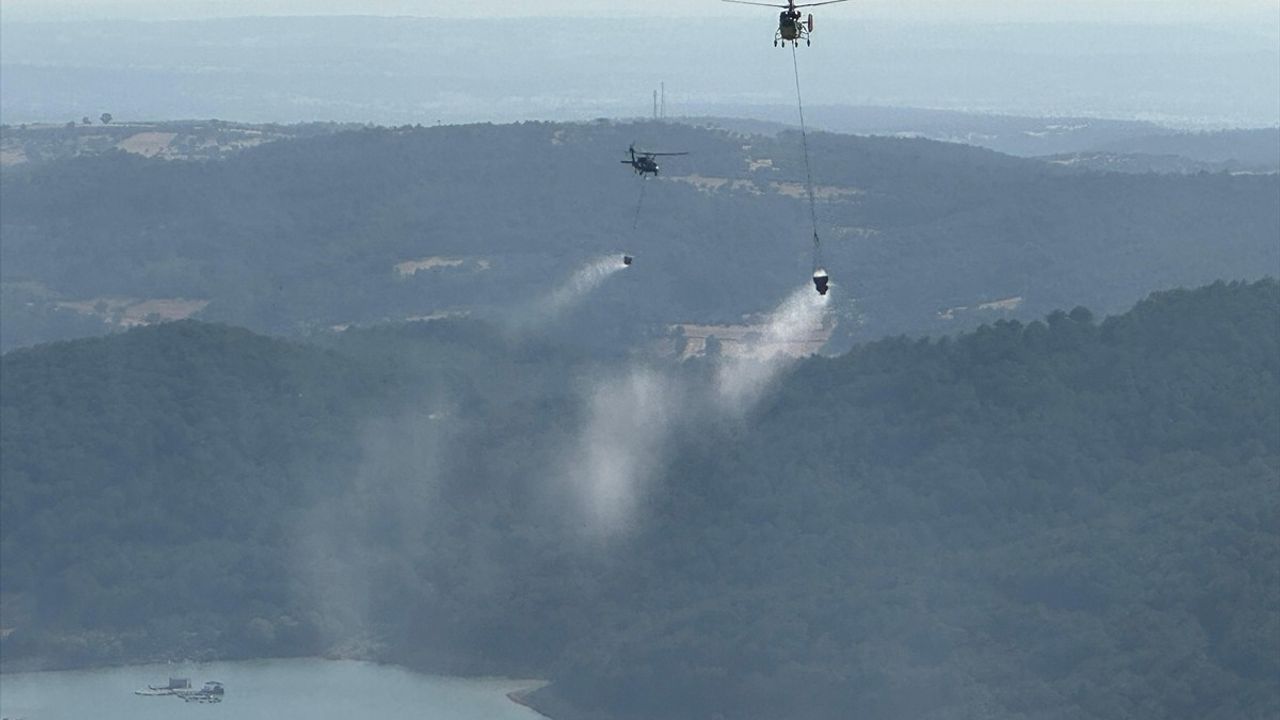 Uşak'ta Orman Yangınına Hızla Müdahale Ediliyor