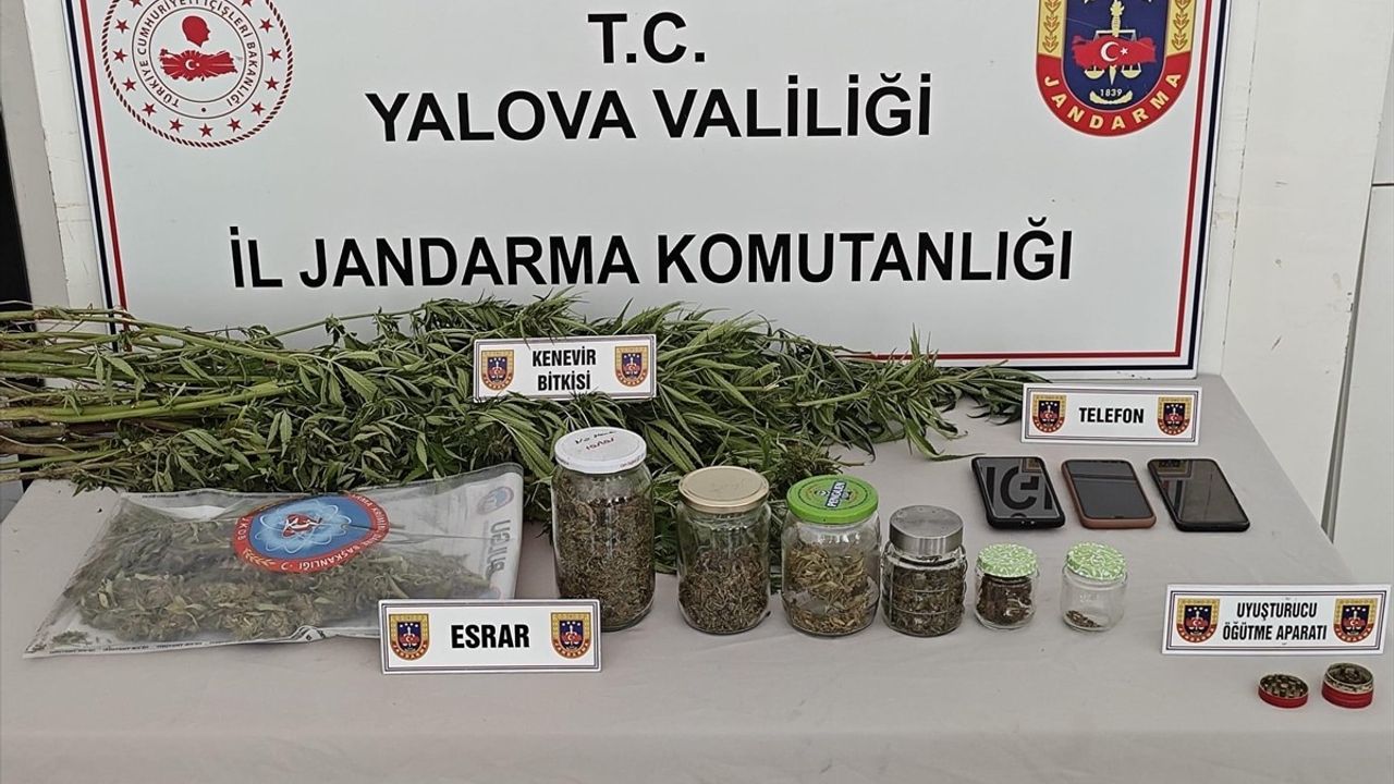 Yalova'da Uyuşturucu Operasyonu: 3 Gözaltı