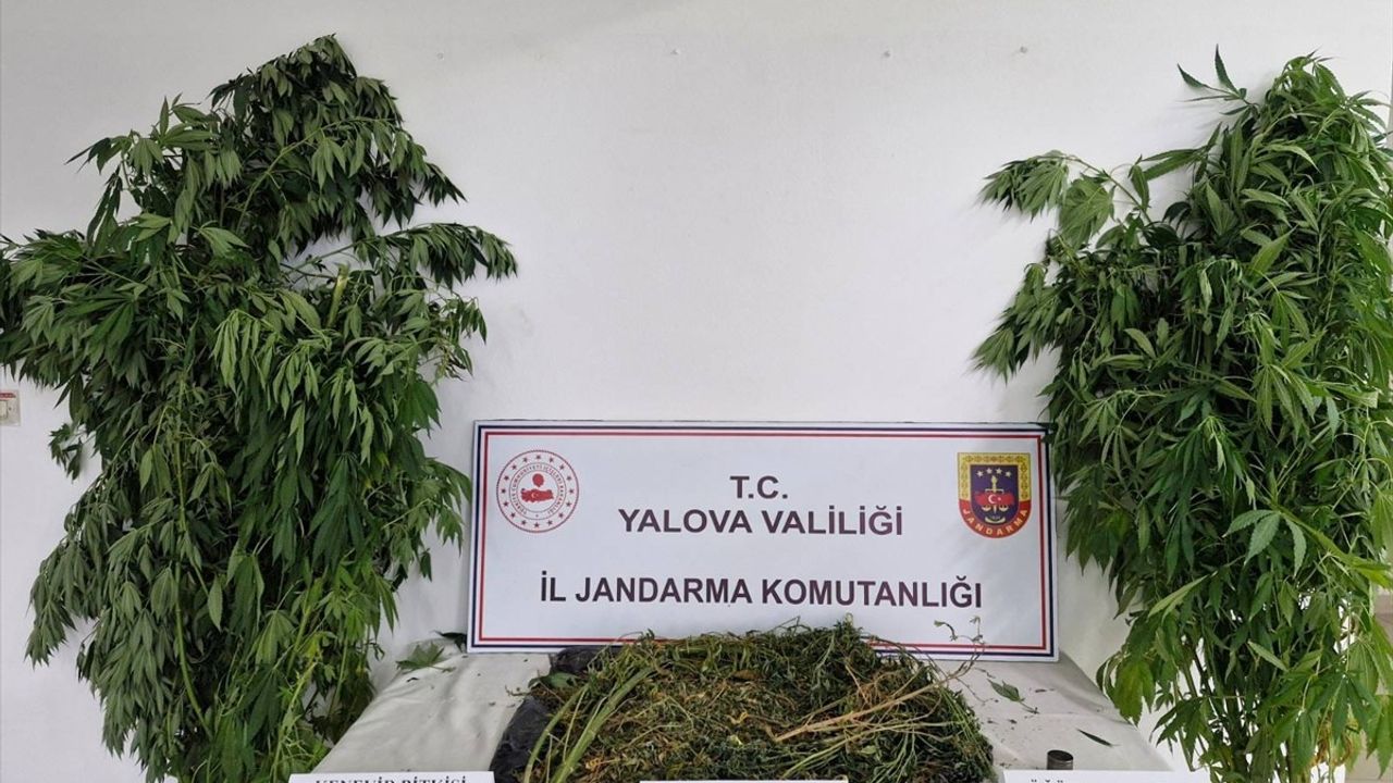 Yalova'da Uyuşturucu Operasyonunda İki Tutuklama
