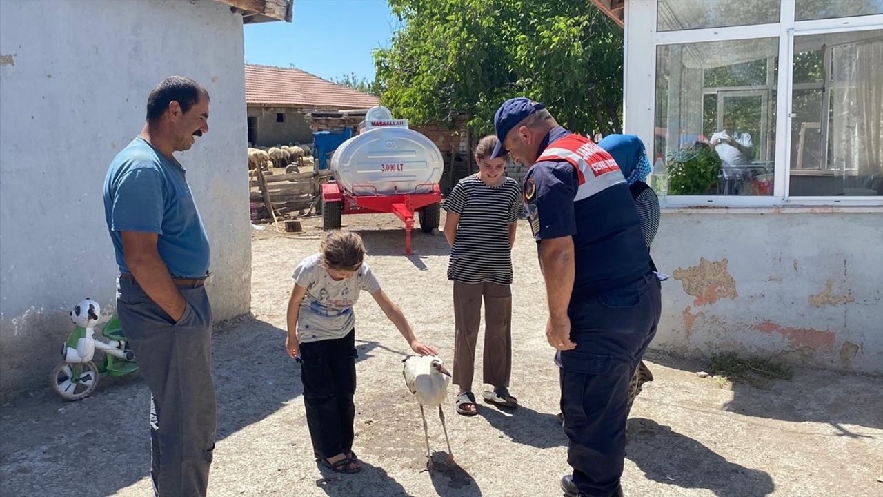 Yozgat'ta Leylek Koruma Hikayesi: 'Su' Jandarmaya Teslim Edildi