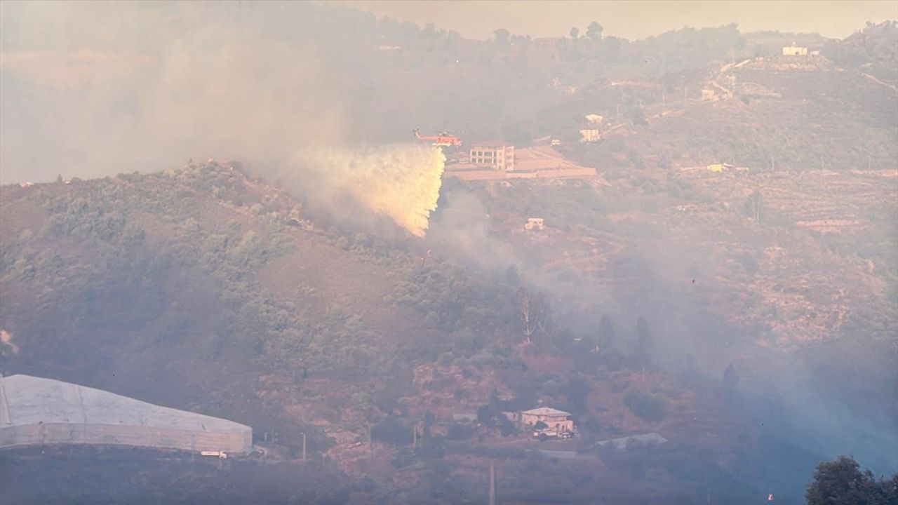 Alanya'daki Orman Yangınına Hızla Müdahale Ediliyor