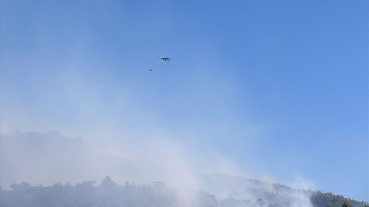Alanya'daki Orman Yangınına Müdahale Devam Ediyor