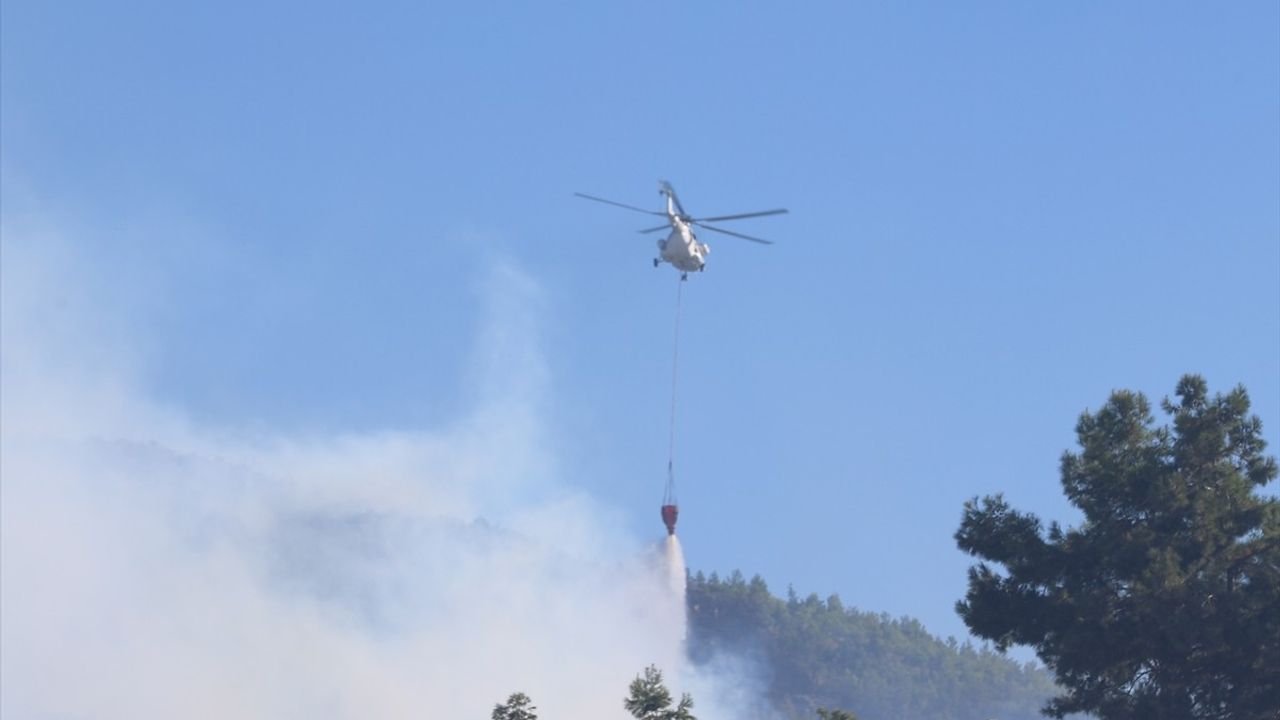 Antalya Alanya'daki Orman Yangınına Hızla Müdahale Ediliyor