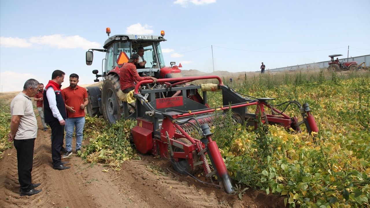 Bitlis'te Kuru Fasulye Hasadı Başladı