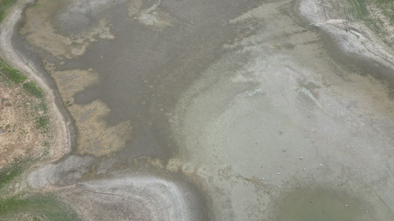 Bıyıkali Göleti'nde Su Seviyesi Tehlikeli Düzeye Düştü