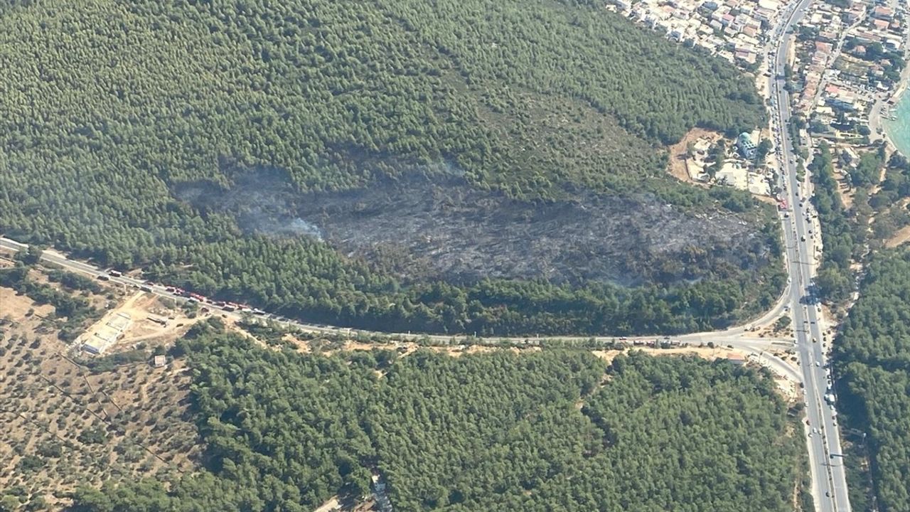 Bodrum'daki Orman Yangını Kontrol Altına Alındı