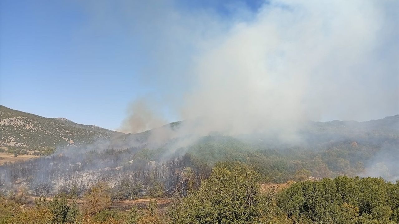 Burdur Ağlasun'daki Orman Yangınına Müdahele Devam Ediyor