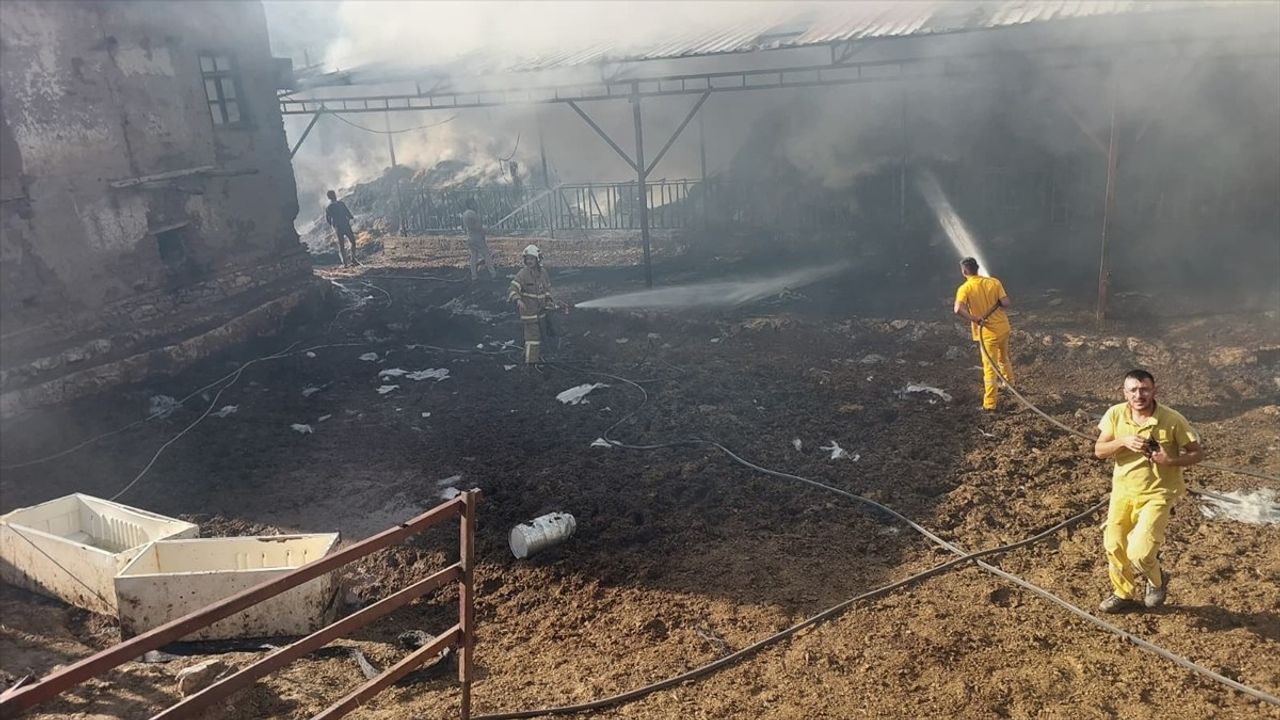 Burdur'da Yangın: 2 İnek ve 2 Buzağı Telef Oldu