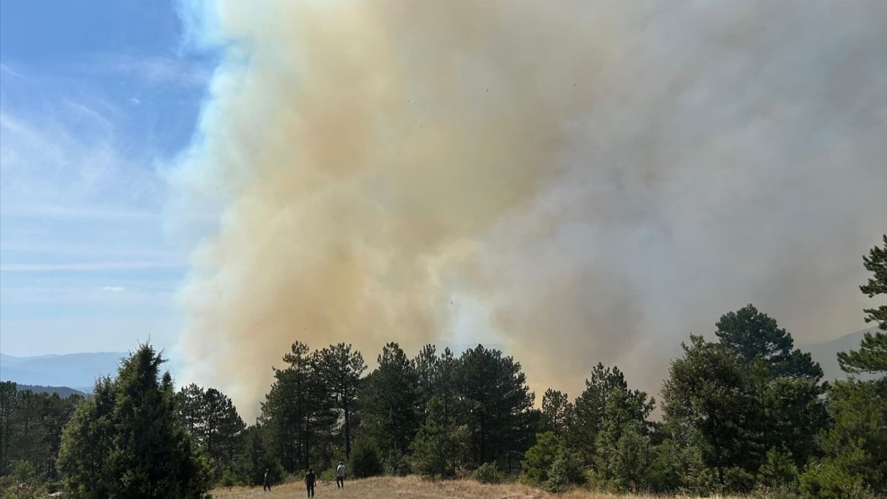 Bursa'da Orman Yangınına Hızlı Müdahale