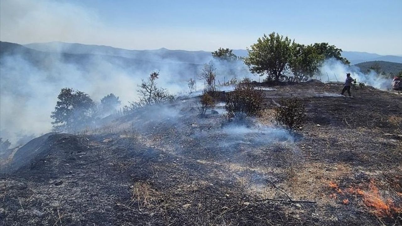 Bursa Orhaneli'nde Orman Yangını
