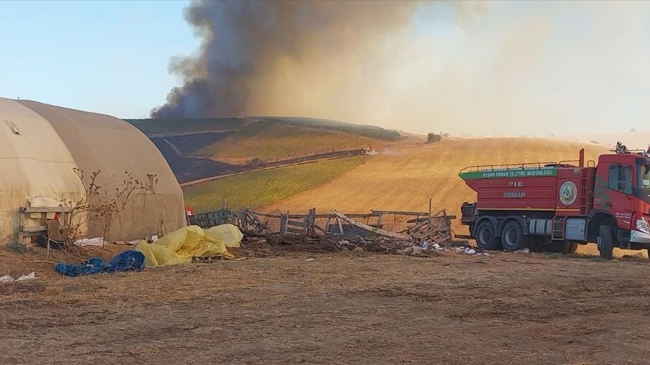 Çanakkale'deki Tarım Arazisi Yangını Kontrol Altına Alındı