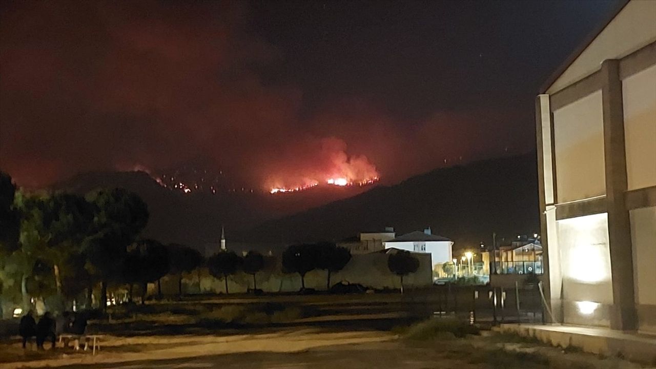 Denizli'nin Buldan İlçesinde Orman Yangınına Mücadele Devam Ediyor