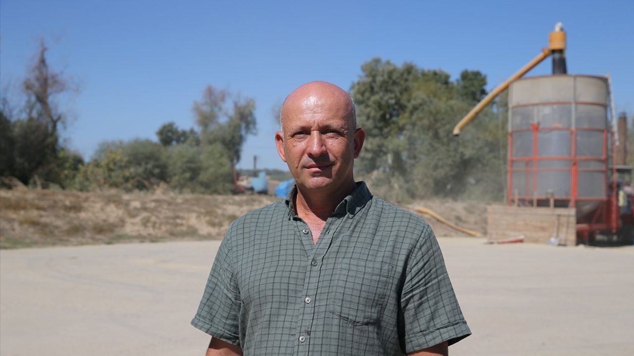 Edirne'de Ayçiçeği Veriminde Düşüş: Kuraklık ve Sıcaklık Etkisi