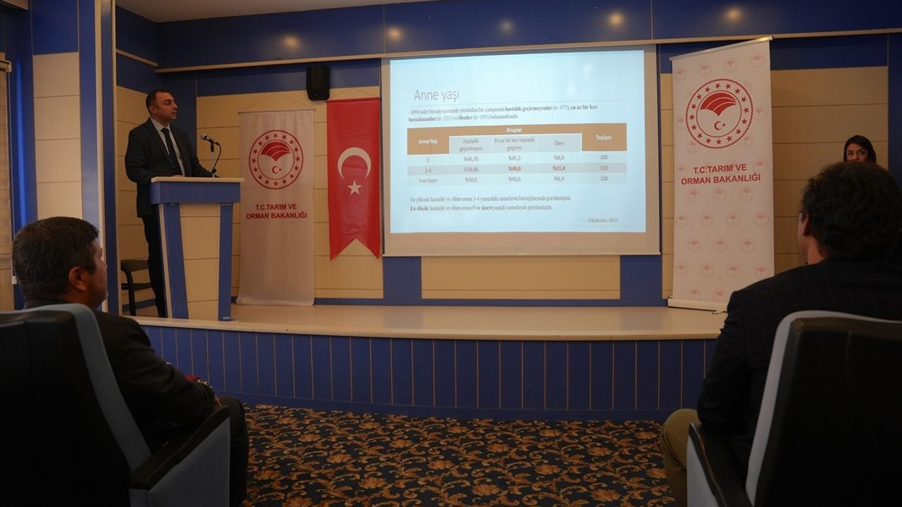 Erzurum'da Veterinerlere Yönelik Buzağı Sağlığı Eğitimi