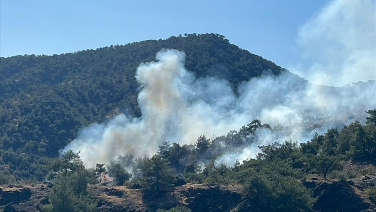 Gaziantep'te Orman Yangını: 1 Hektar Zarar