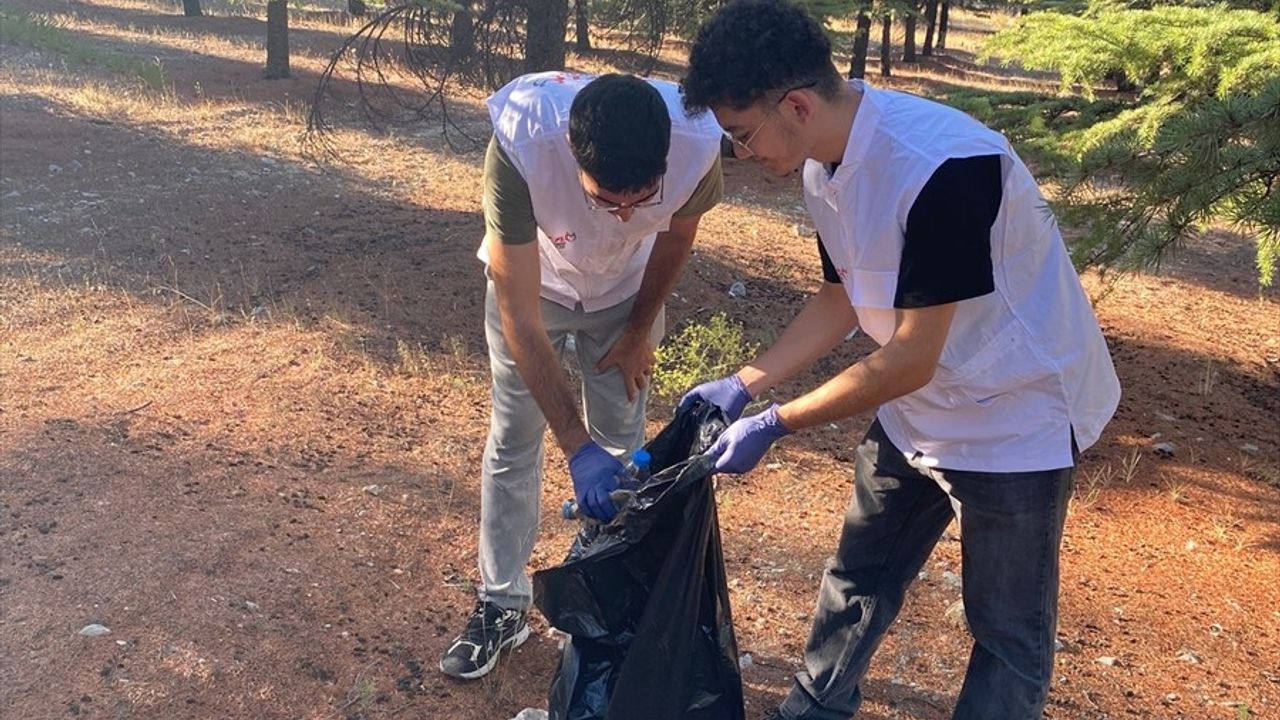 Gençler Ormanları Korumak İçin Bir Araya Geldi