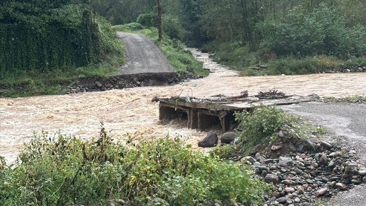 Giresun'daki Sağanak Yağış Hayatı Etkiliyor